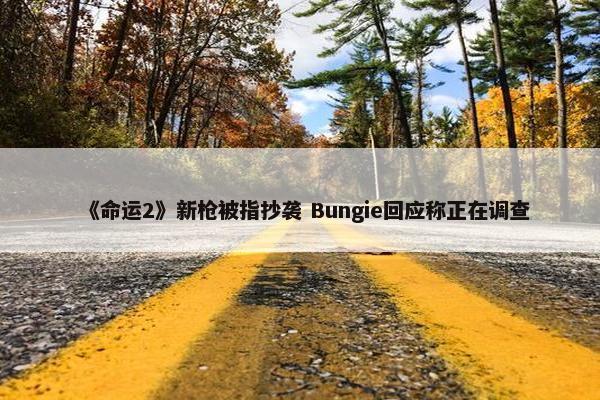 《命运2》新枪被指抄袭 Bungie回应称正在调查