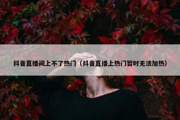 抖音直播间上不了热门（抖音直播上热门暂时无法加热）