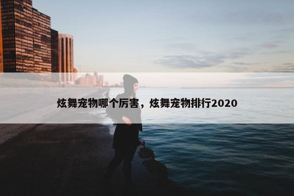 炫舞宠物哪个厉害，炫舞宠物排行2020