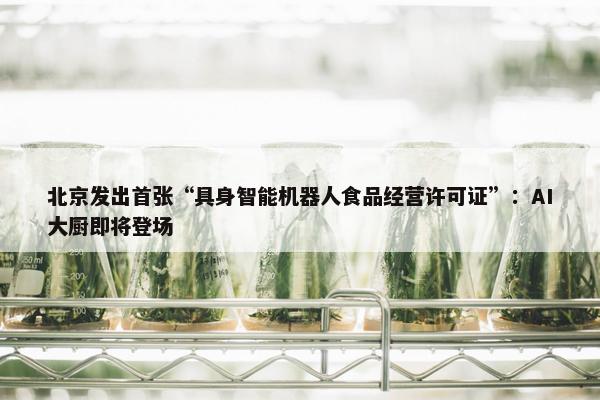 北京发出首张“具身智能机器人食品经营许可证”：AI大厨即将登场