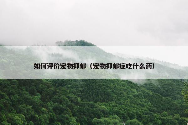 如何评价宠物抑郁（宠物抑郁症吃什么药）