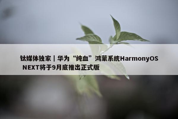 钛媒体独家｜华为“纯血”鸿蒙系统HarmonyOS NEXT将于9月底推出正式版