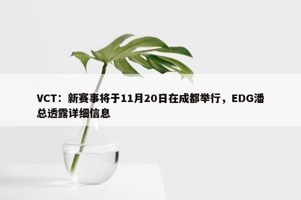 VCT：新赛事将于11月20日在成都举行，EDG潘总透露详细信息