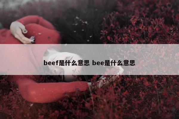 beef是什么意思 bee是什么意思