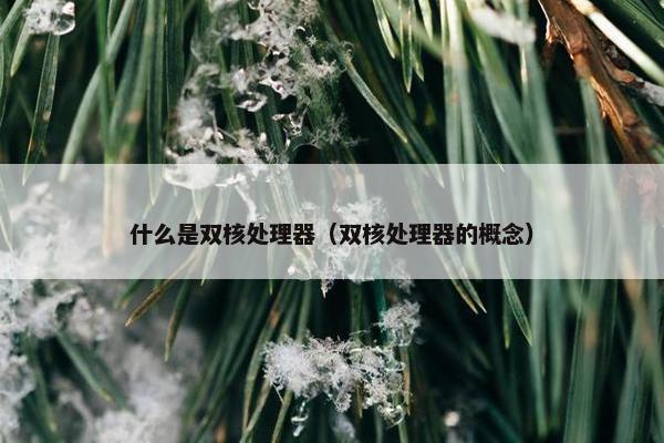 什么是双核处理器（双核处理器的概念）