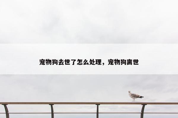 宠物狗去世了怎么处理，宠物狗离世