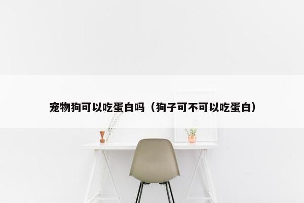 宠物狗可以吃蛋白吗（狗子可不可以吃蛋白）