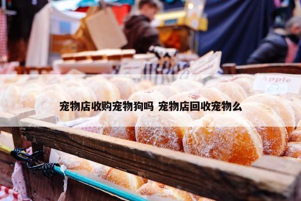 宠物店收购宠物狗吗 宠物店回收宠物么