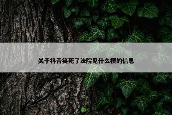 关于抖音笑死了法院见什么梗的信息