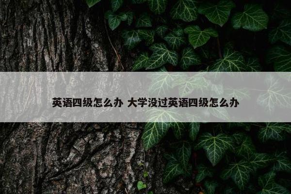 英语四级怎么办 大学没过英语四级怎么办