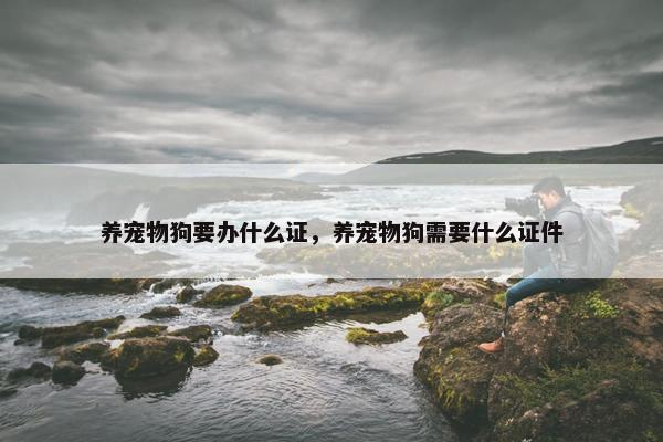 养宠物狗要办什么证，养宠物狗需要什么证件