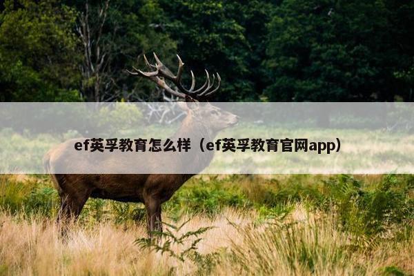 ef英孚教育怎么样（ef英孚教育官网app）