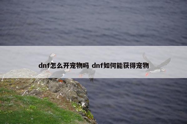 dnf怎么开宠物吗 dnf如何能获得宠物