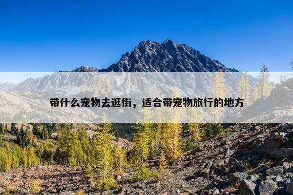 带什么宠物去逛街，适合带宠物旅行的地方