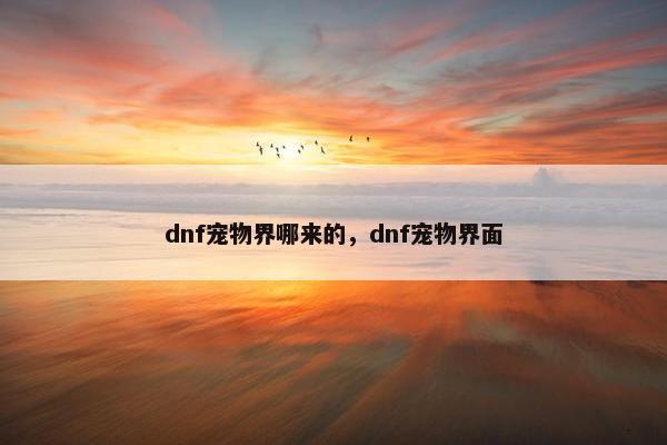 dnf宠物界哪来的，dnf宠物界面