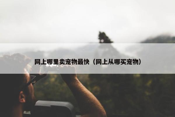 网上哪里卖宠物最快（网上从哪买宠物）