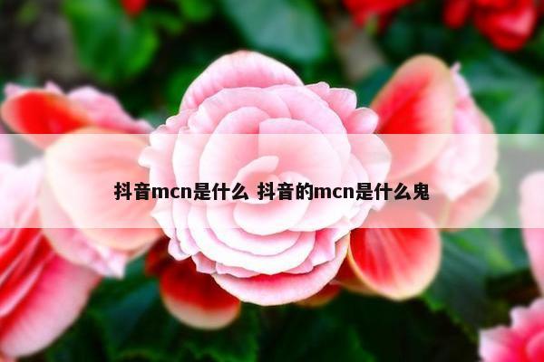 抖音mcn是什么 抖音的mcn是什么鬼