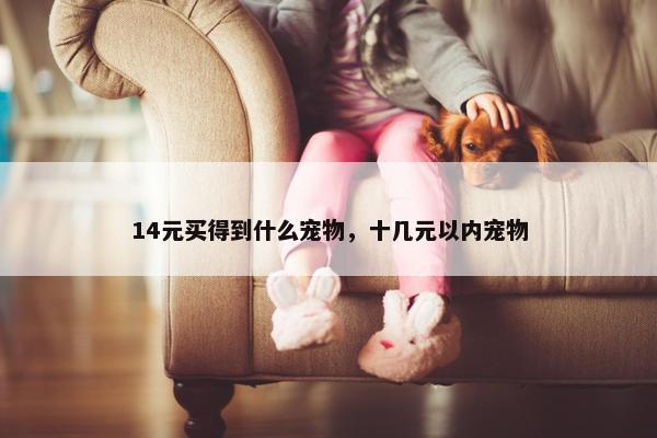 14元买得到什么宠物，十几元以内宠物