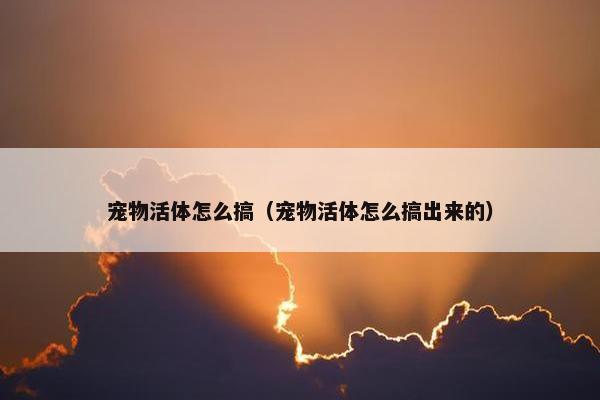 宠物活体怎么搞（宠物活体怎么搞出来的）