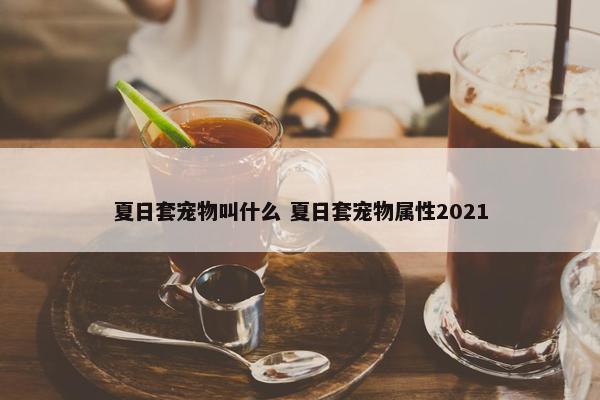 夏日套宠物叫什么 夏日套宠物属性2021