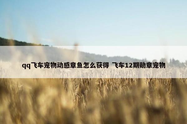 qq飞车宠物动感章鱼怎么获得 飞车12期勋章宠物