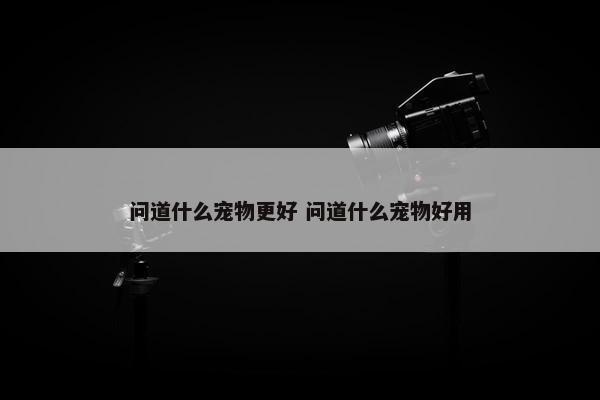 问道什么宠物更好 问道什么宠物好用