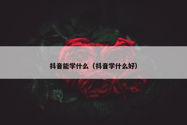 抖音能学什么（抖音学什么好）