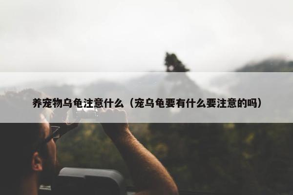 养宠物乌龟注意什么（宠乌龟要有什么要注意的吗）