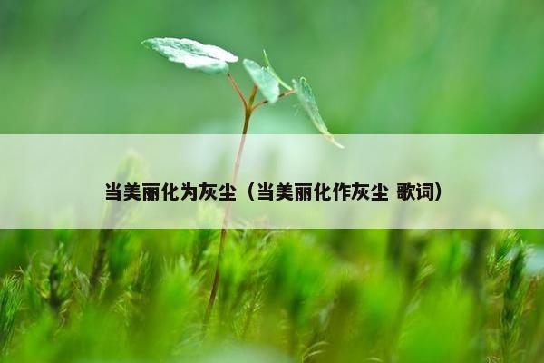 当美丽化为灰尘（当美丽化作灰尘 歌词）