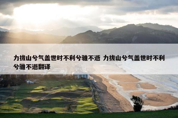 力拔山兮气盖世时不利兮骓不逝 力拔山兮气盖世时不利兮骓不逝翻译