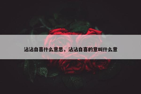 沾沾自喜什么意思，沾沾自喜的意叫什么意