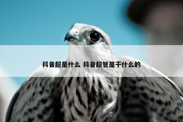 抖音超是什么 抖音超管是干什么的