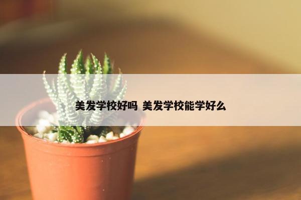 美发学校好吗 美发学校能学好么