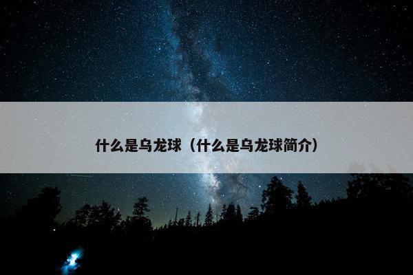 什么是乌龙球（什么是乌龙球简介）