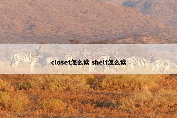 closet怎么读 shelf怎么读