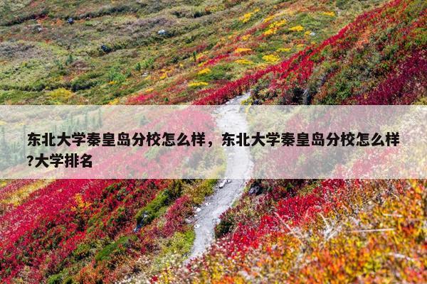 东北大学秦皇岛分校怎么样，东北大学秦皇岛分校怎么样?大学排名