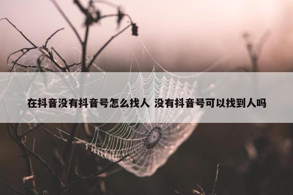 在抖音没有抖音号怎么找人 没有抖音号可以找到人吗