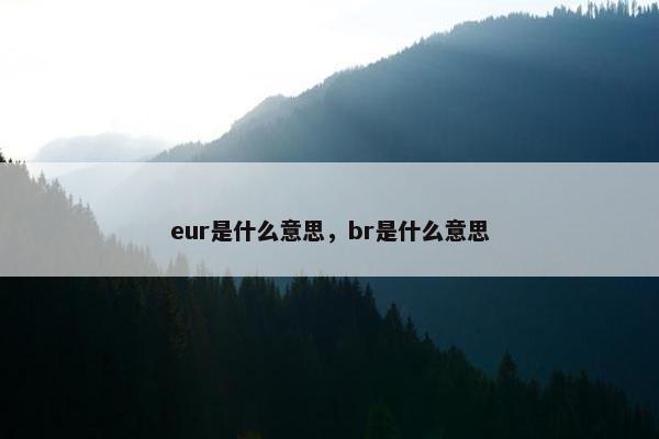 eur是什么意思，br是什么意思