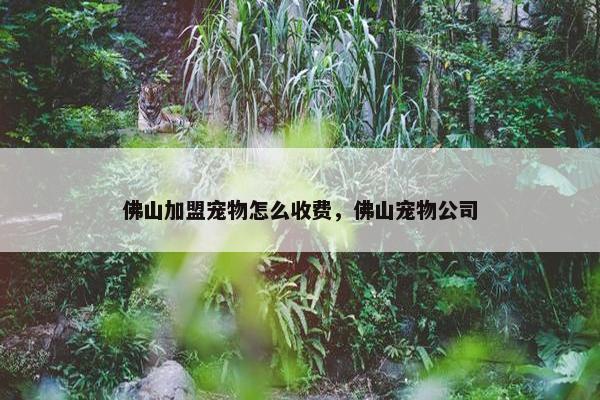 佛山加盟宠物怎么收费，佛山宠物公司