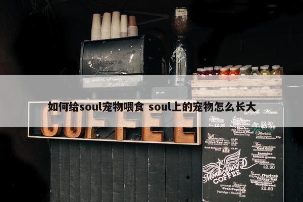 如何给soul宠物喂食 soul上的宠物怎么长大