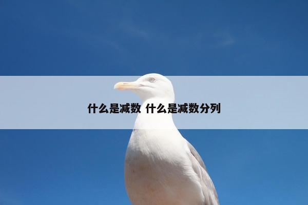 什么是减数 什么是减数分列