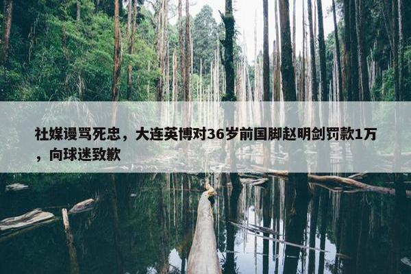 社媒谩骂死忠，大连英博对36岁前国脚赵明剑罚款1万，向球迷致歉