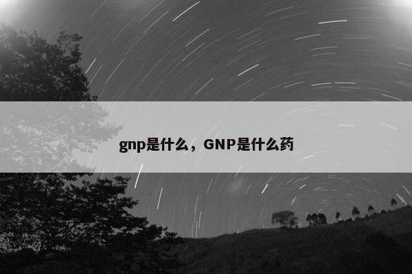 gnp是什么，GNP是什么药