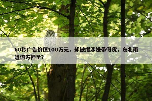 60秒广告价值100万元，却被爆涉嫌带假货，东北雨姐何方神圣？