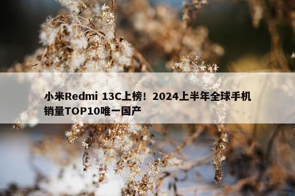 小米Redmi 13C上榜！2024上半年全球手机销量TOP10唯一国产