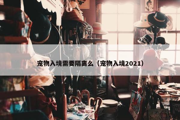 宠物入境需要隔离么（宠物入境2021）