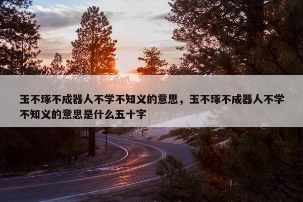 玉不琢不成器人不学不知义的意思，玉不琢不成器人不学不知义的意思是什么五十字