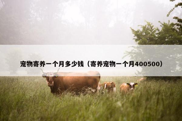 宠物寄养一个月多少钱（寄养宠物一个月400500）