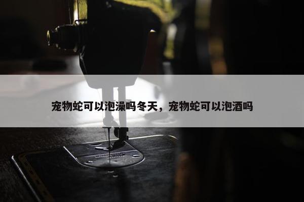 宠物蛇可以泡澡吗冬天，宠物蛇可以泡酒吗