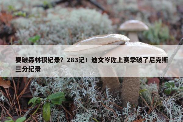 要破森林狼纪录？283记！迪文岑佐上赛季破了尼克斯三分纪录